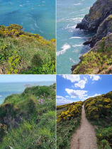 Landlusttuch Irlands Küste