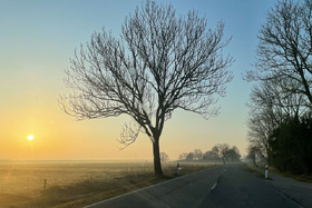Meine Wunschwicklung 'Morgens um sieben'