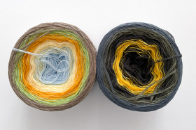 Meine Wunschwicklung 'Morgens um sieben'