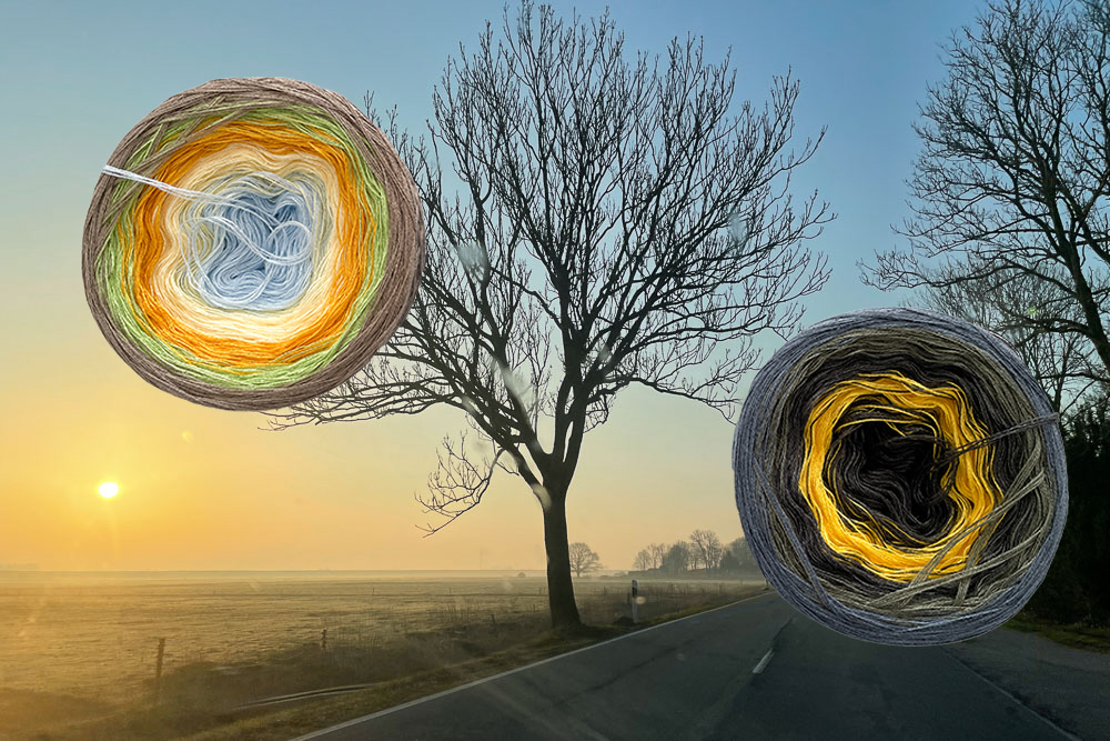 Meine Wunschwicklung 'Morgens um sieben'