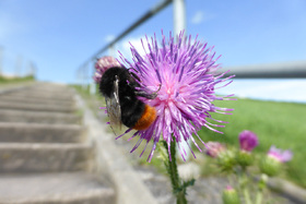 Ich bastele mir eine Leuchtturm-Wunschwicklung